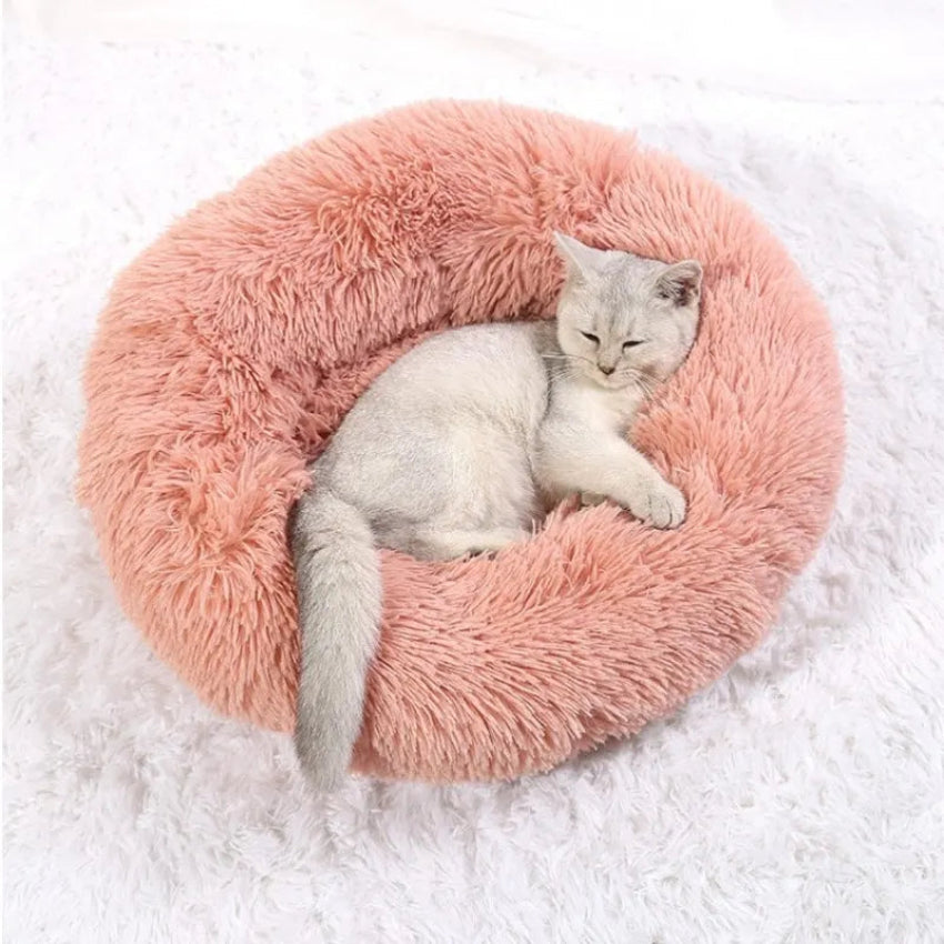 Cat inside pink Calming bed