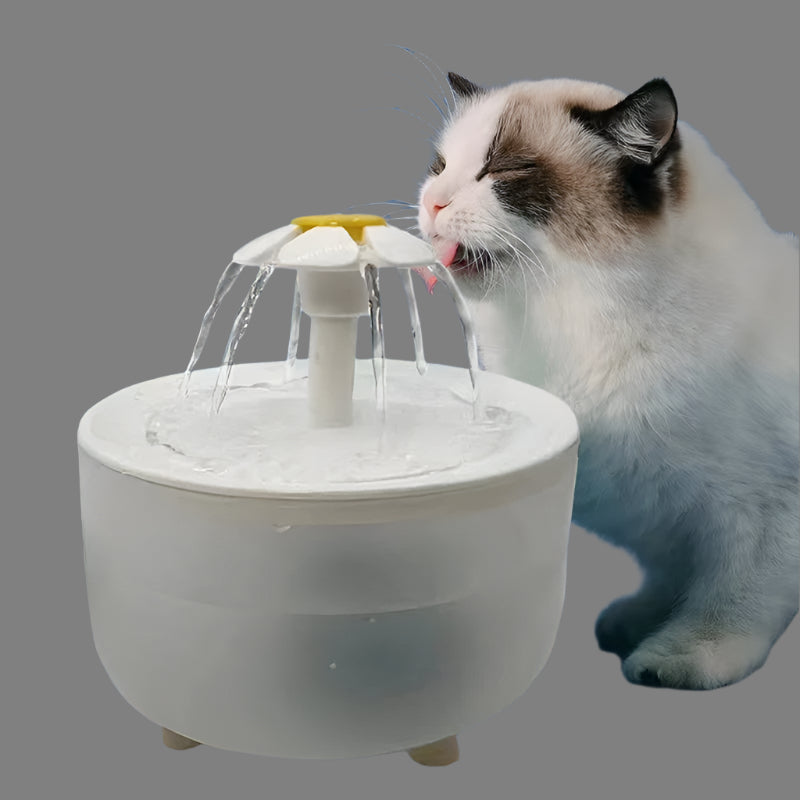 cat drinking fresh water from quiet water fountain with flower tub