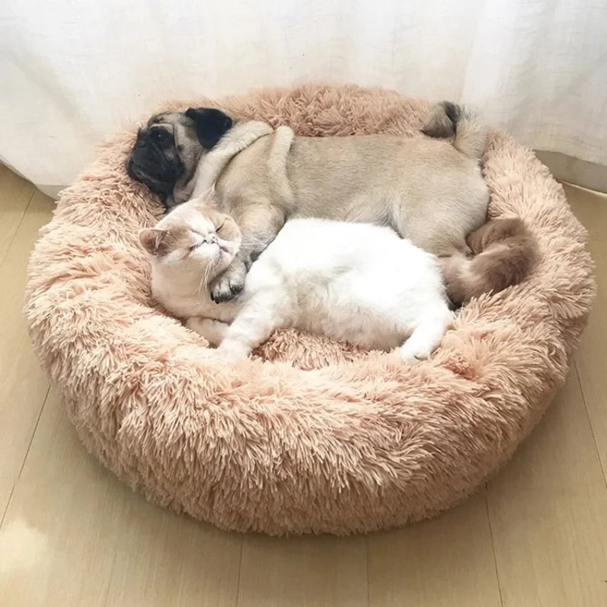 Dog and Cat sleeping comfortably inside Calming bed