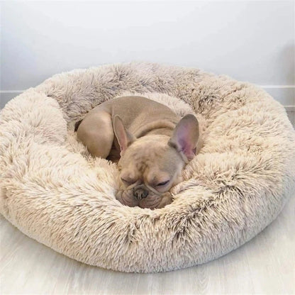 Dog sleeping comfortably in Calming bed