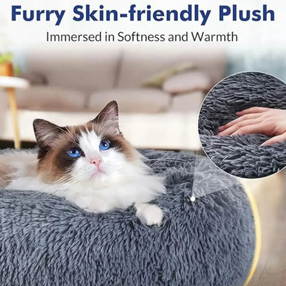 Relaxed cat inside the Calming bed