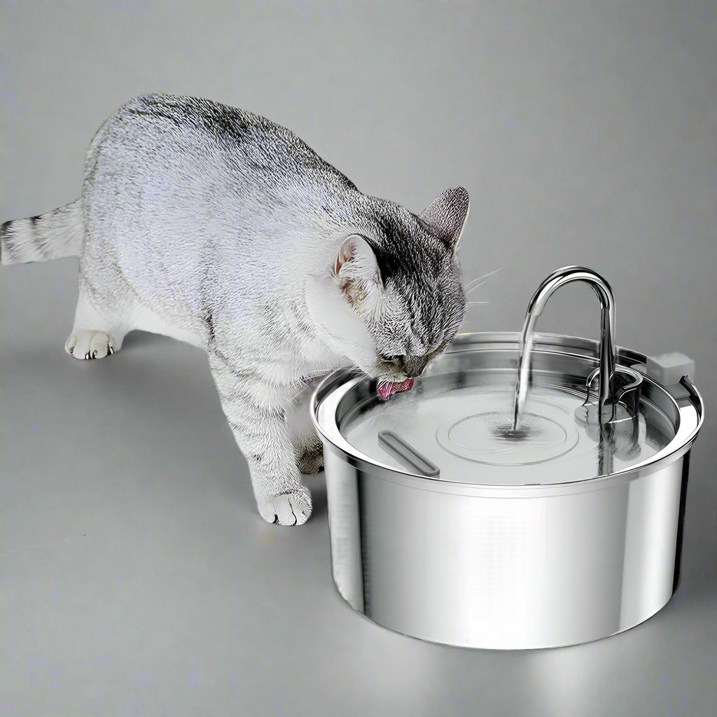 cat drinking from the stainless steel water fountain