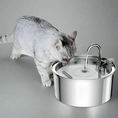 cat drinking from the stainless steel water fountain