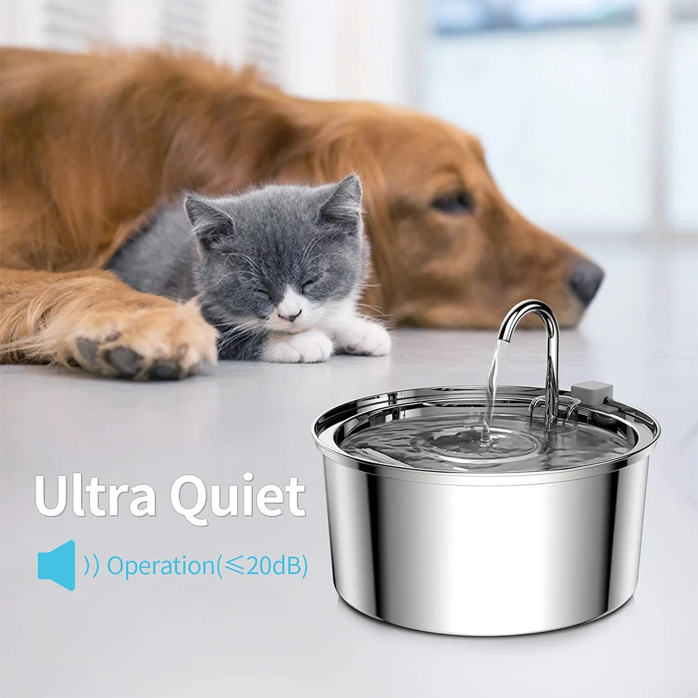cat and dog relaxing near the quiet stainless steel water fountain that produces less than 20dB