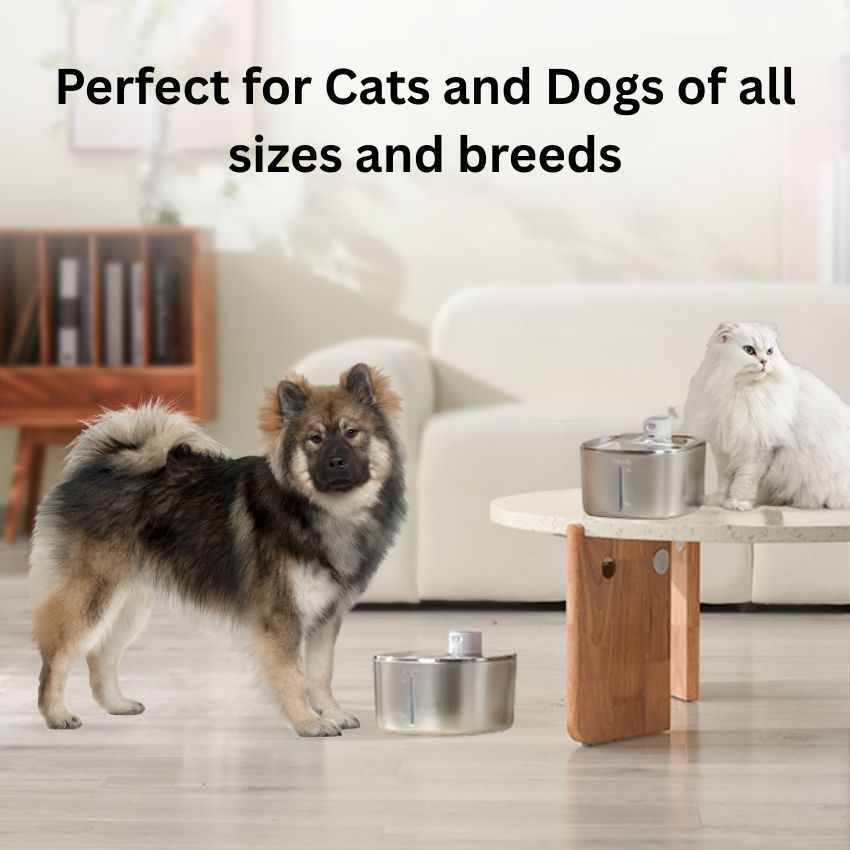 Wireless Pet Water Fountain Stainless Steel