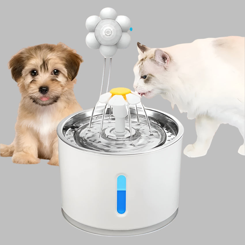 cat and dog near running water fountain that has a flower style motion sensor 